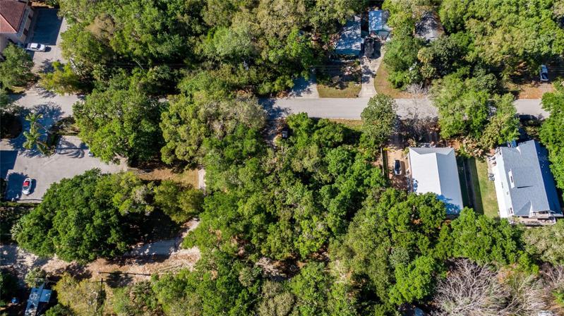 Newer homes and mature trees make a beautiful neighborhood