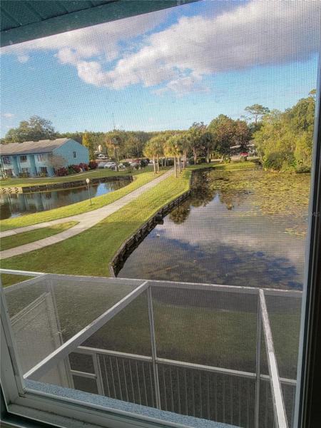 Master Bed View