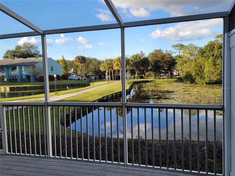 Back Porch