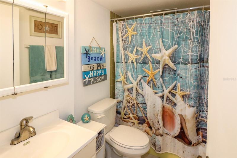 Guest bathroom