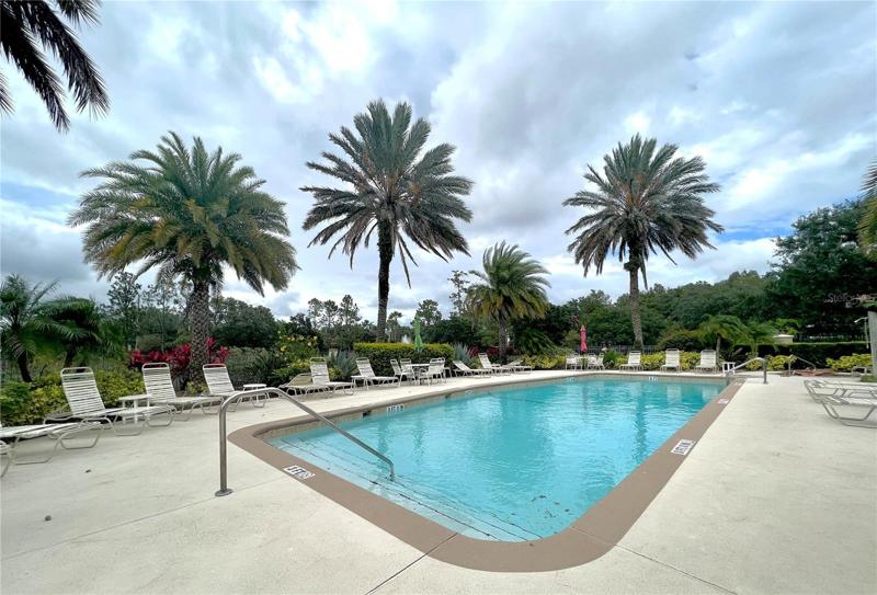 PRISTINE POOL... PERFECT FOR YOUR PARTIES AND GUESTS!