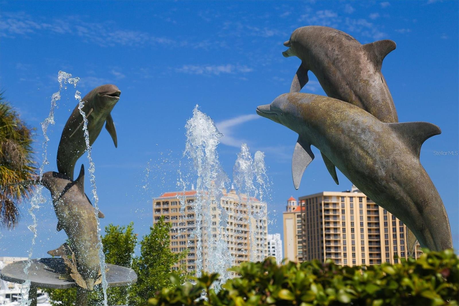 Dolphins at Bayfront Park
