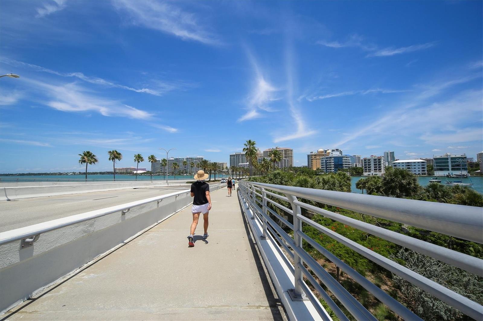 Walking the Causeway