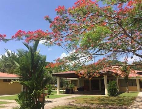 Guaynabo, Puerto Rico 00969, 0 , 0 ,0,Commercial Sale,For Sale,BO. LA MUDA,0,PR9099336