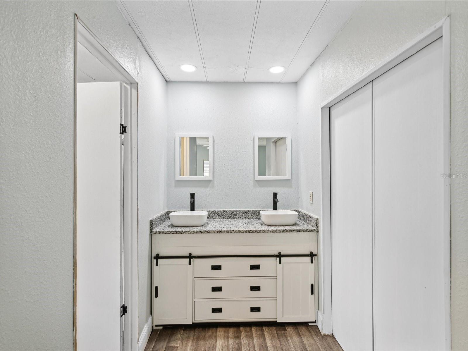 Master double sinks