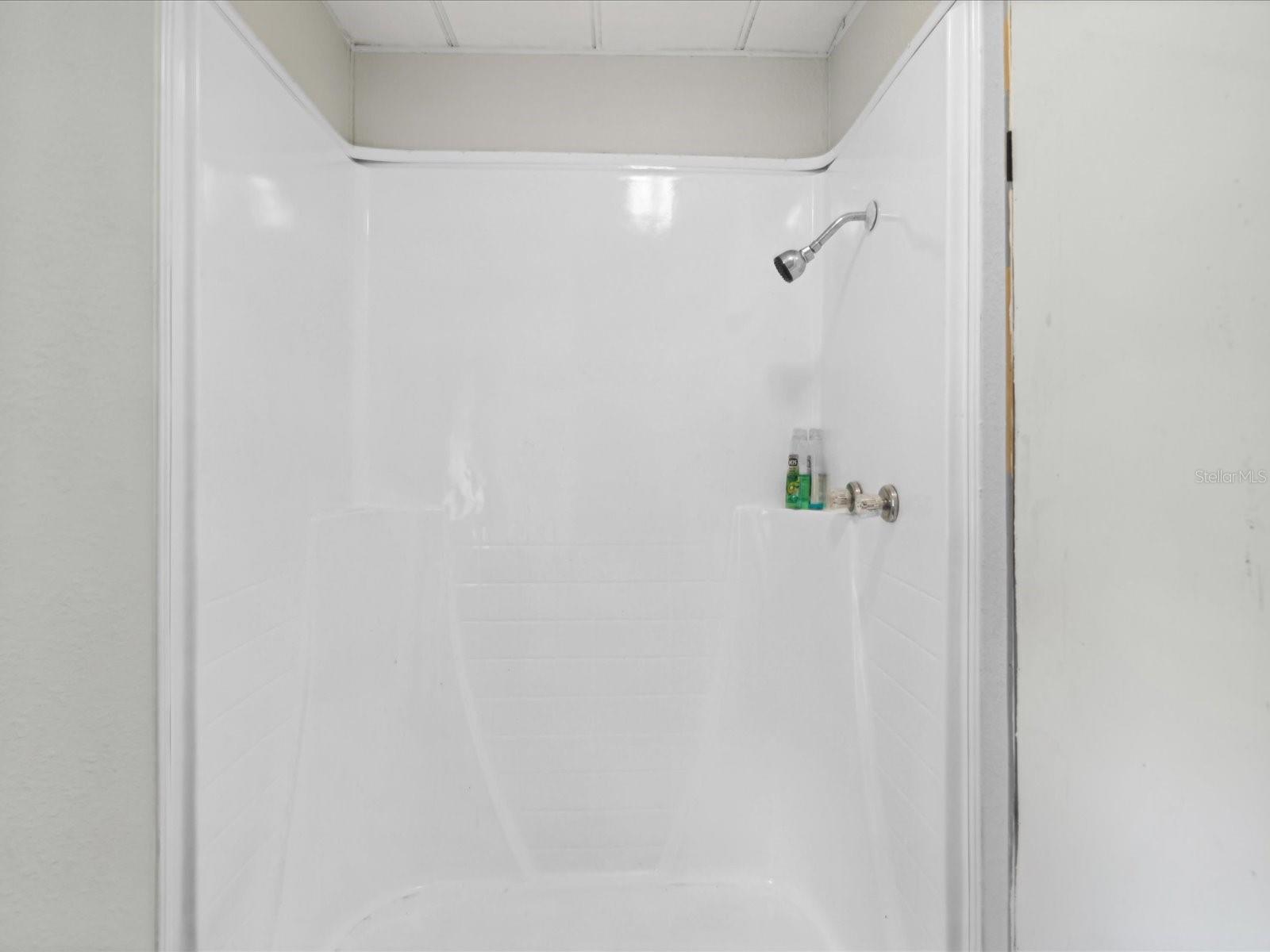 Master Shower