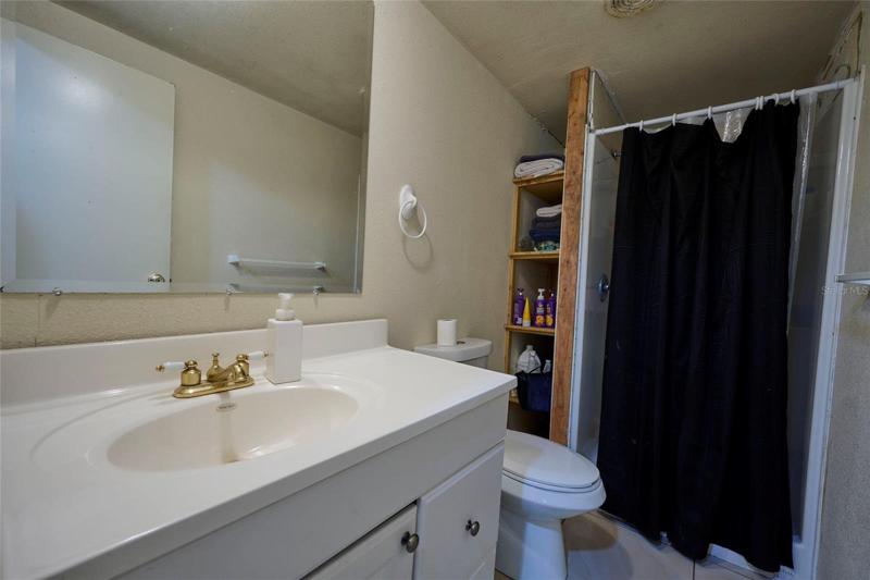 Guest bathroom
