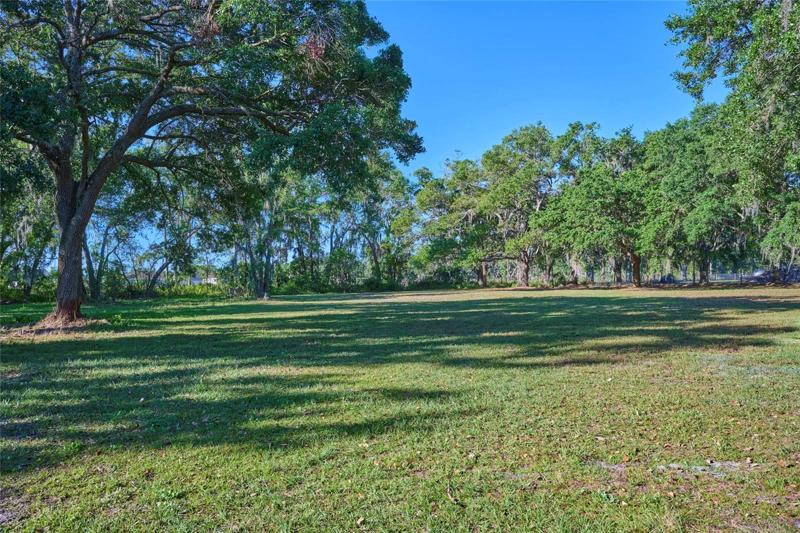 Property is high and dry