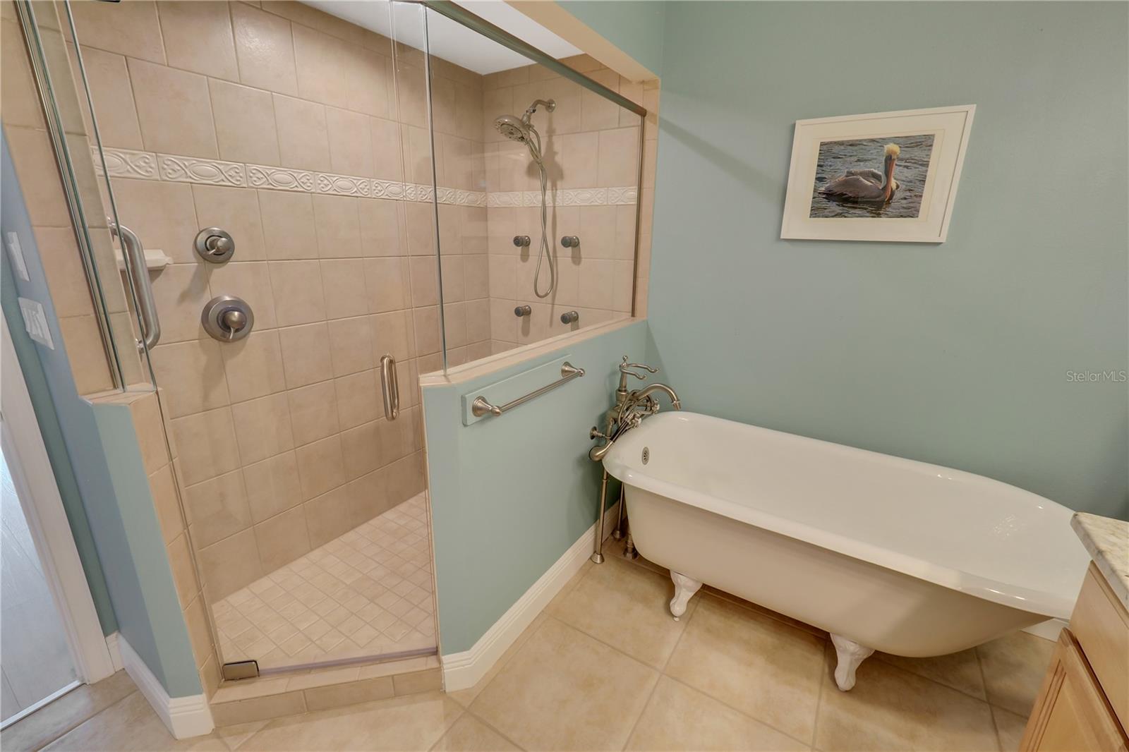Master Bath with shower and soaking tub