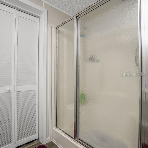 Master Bathroom Shower