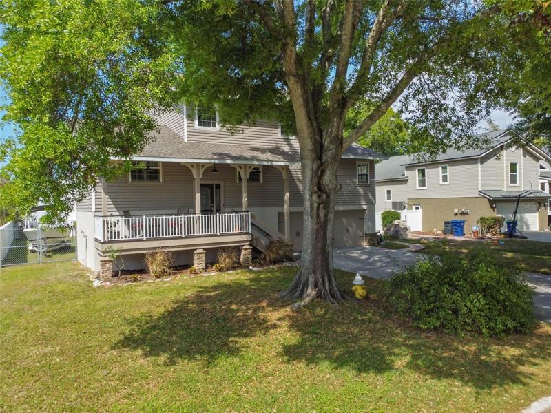 front yard 