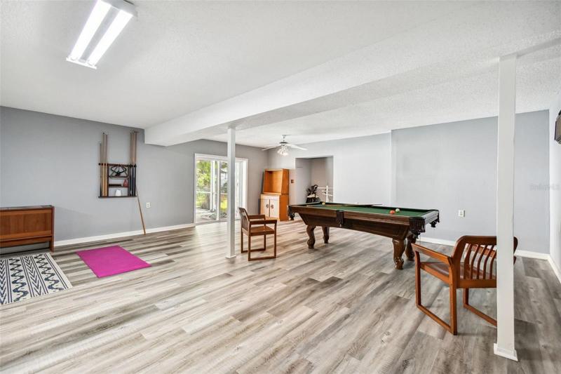 downstairs entertainment and party area