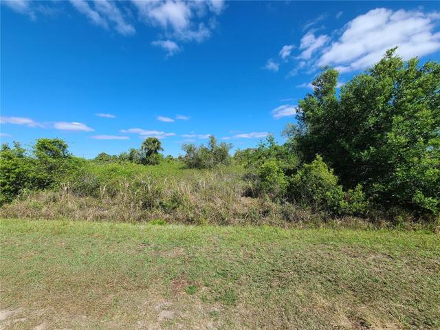 View on NW 278th St
