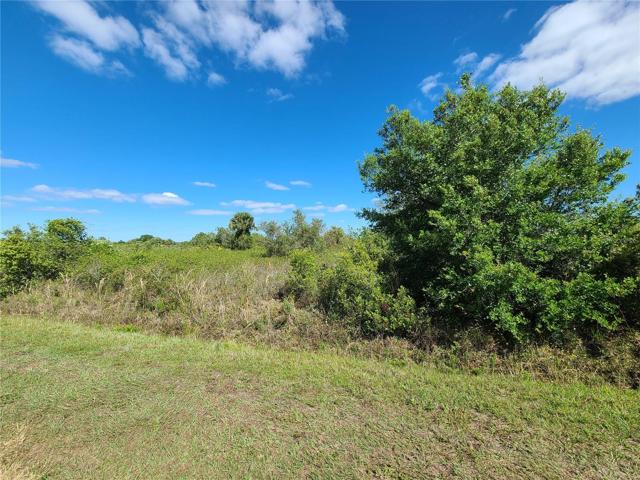 View on NW 278th St
