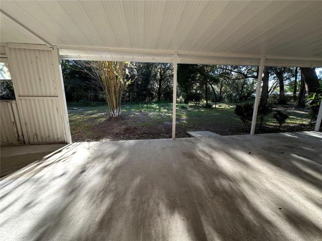 Back Porch