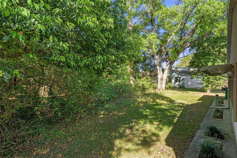 Side yard