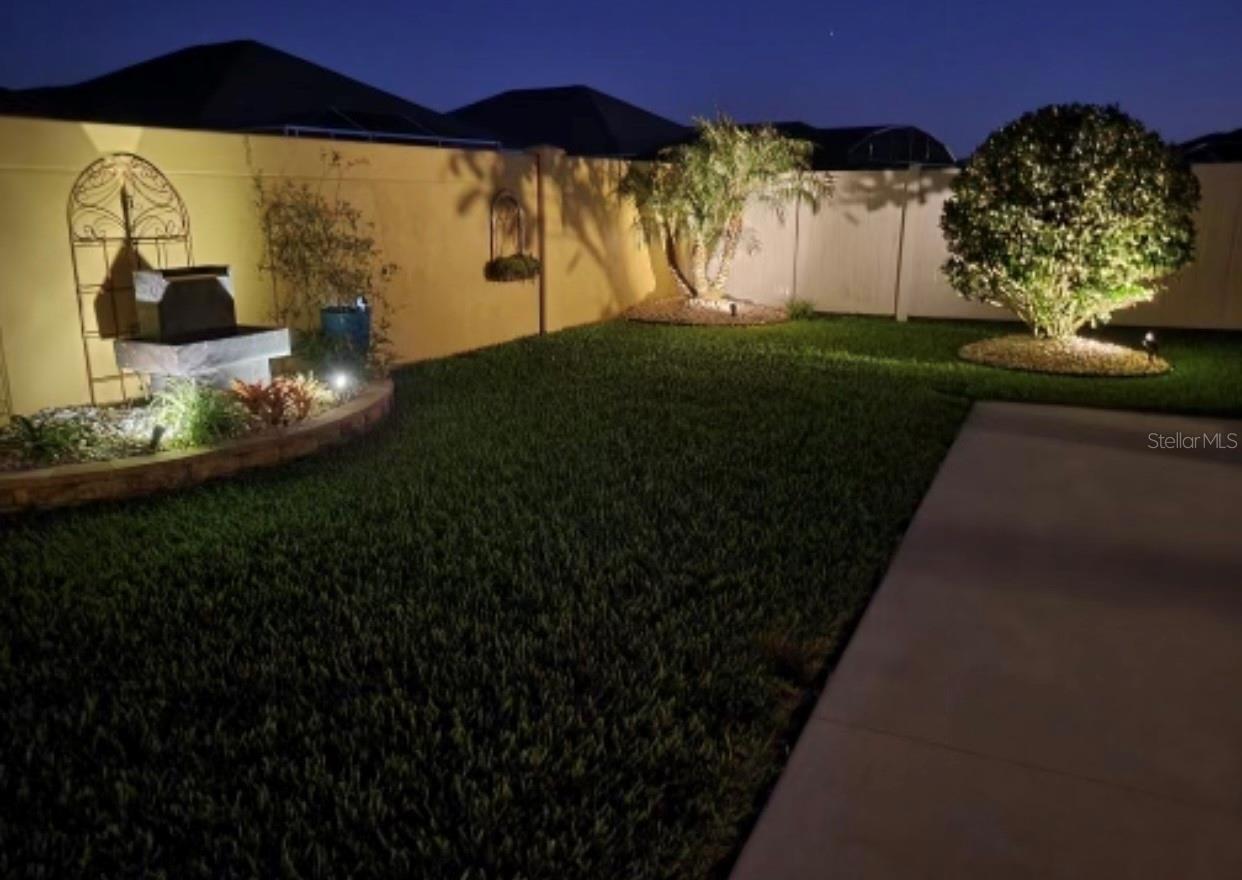 Rear Yard Lighted