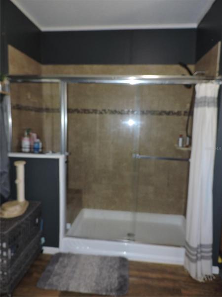 Master Shower