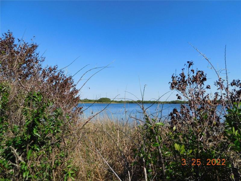 Natural setting shoreline