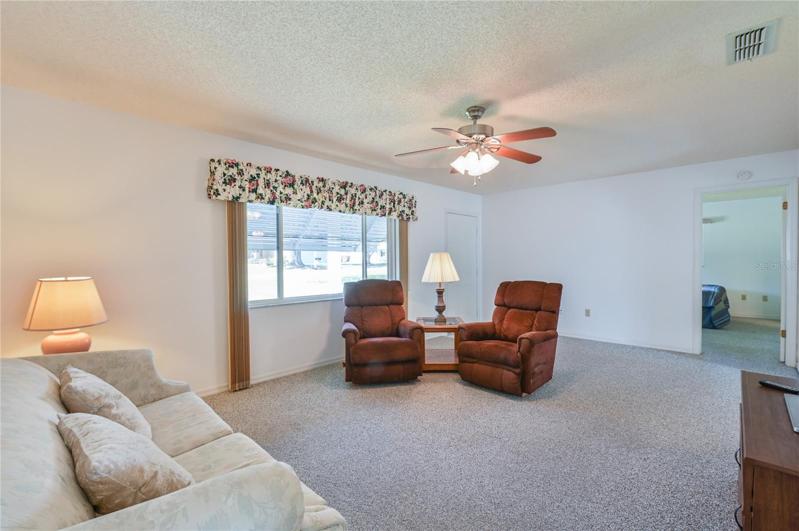 Ceiling Fan in Living Room