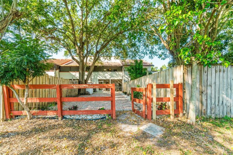Backyard