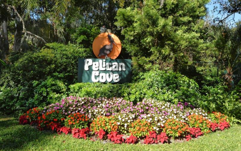 Pelican Cove 