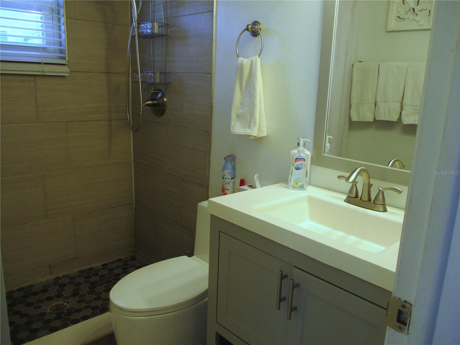 Master Bath with shower
