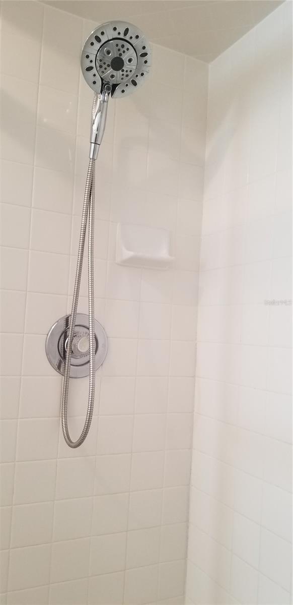 Master shower