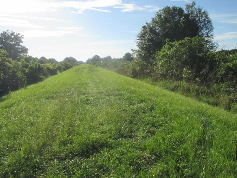 Not In a Flood Zone 2.5 Acres