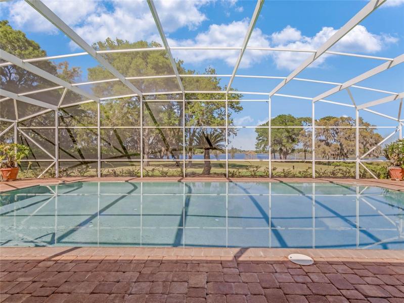 Plenty of room for everyone in this pool!