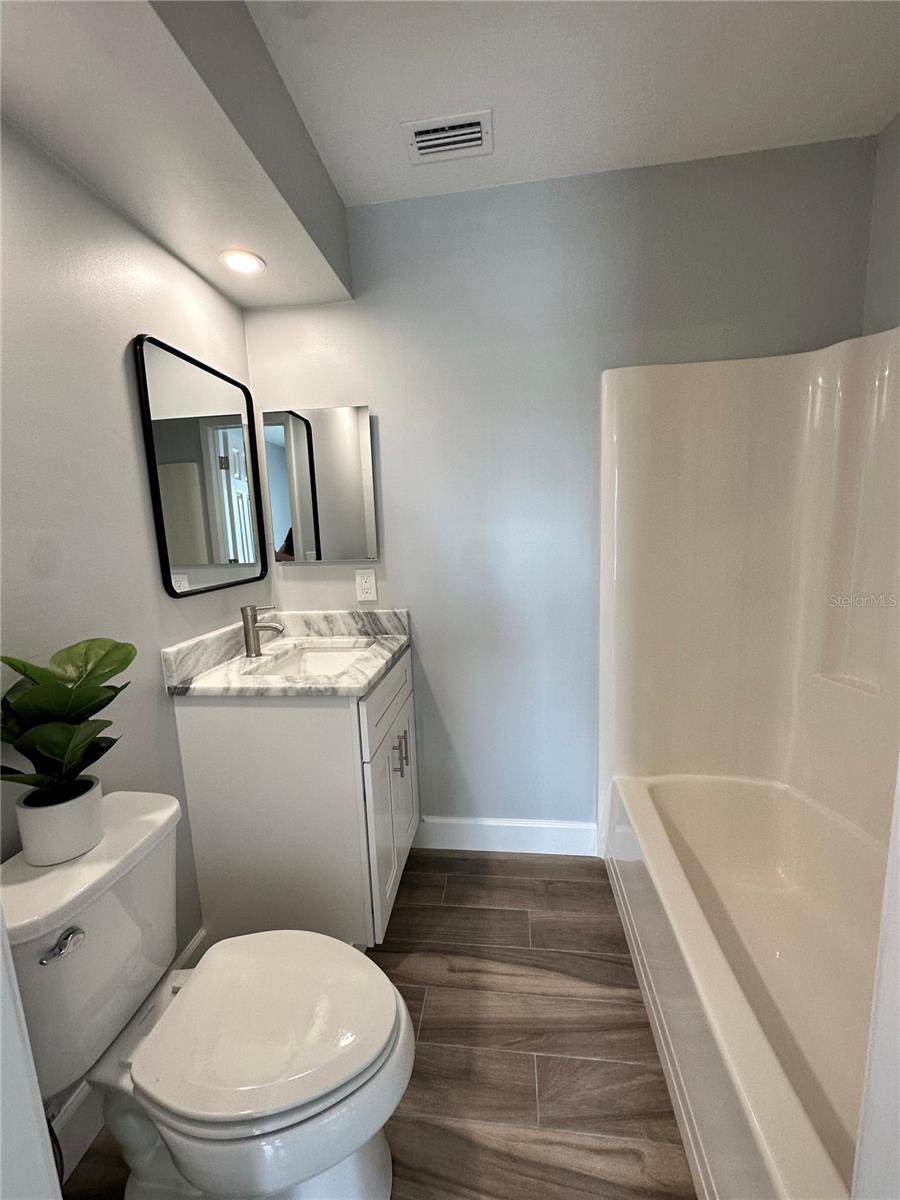Guest bathroom
