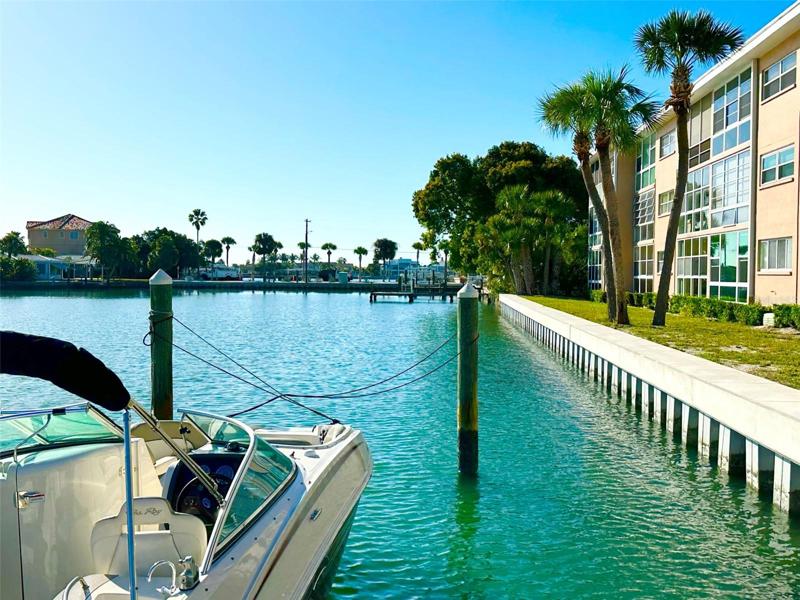 See the 3 palms, then look at the "tall wall" it blends with the Palms, and makes a privacy corner. NOTE 3 Ft higher than the new seawall.