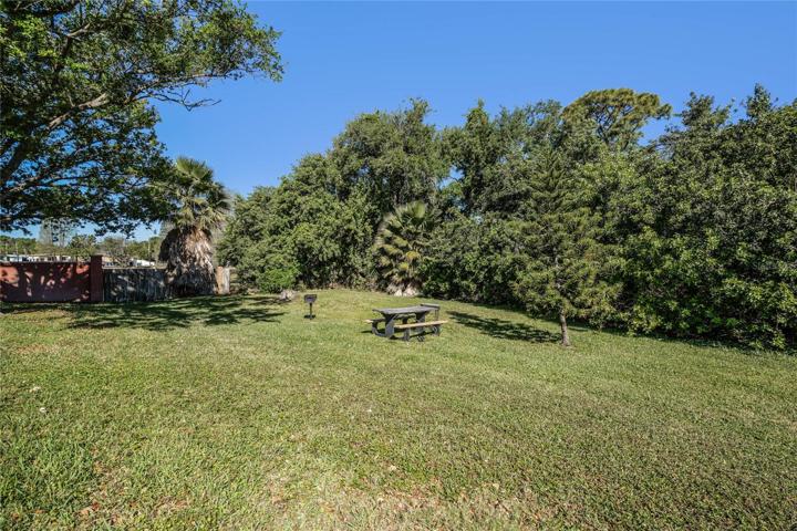 picnic and BBQ area