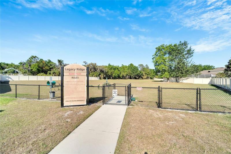 Dog Park