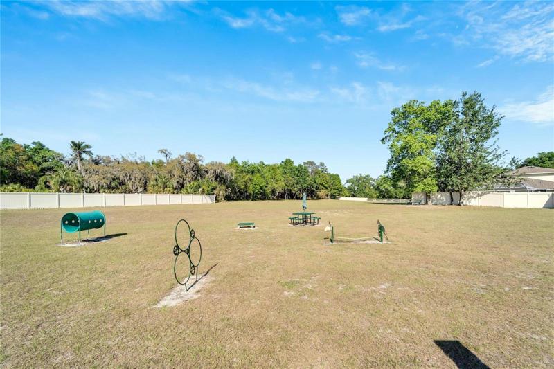 Dog Park