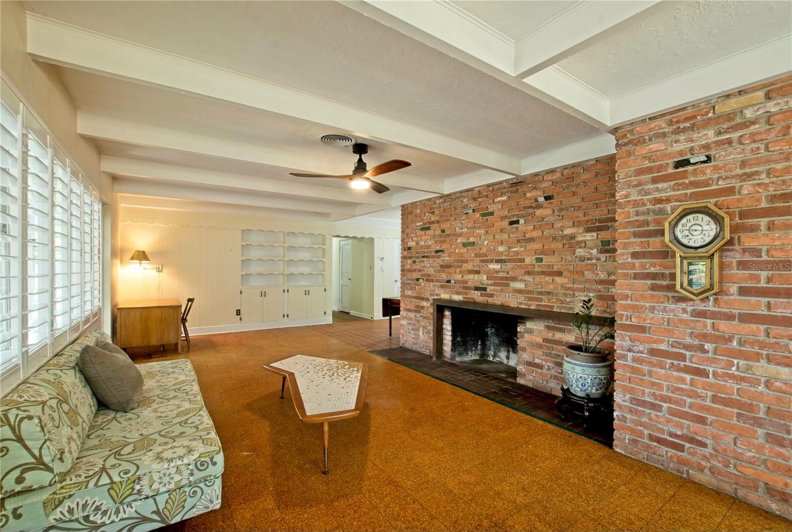 Living Room and Fireplace