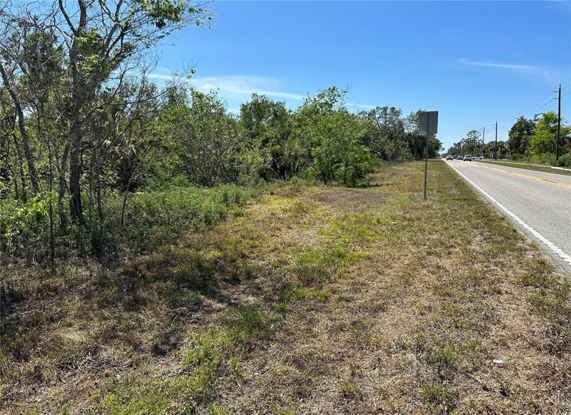 Two building lots on Hillsborough Blvd