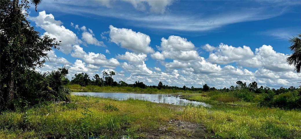 Enjoy birds and nature as this park area.