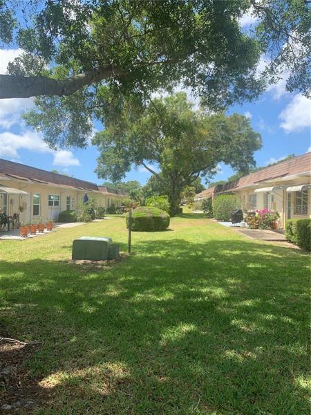 Nature Galore in  your backyard!