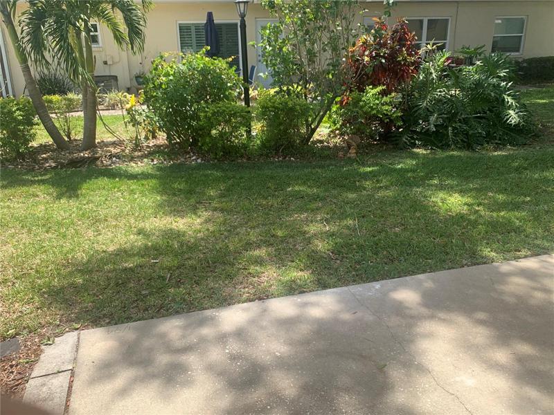 Concrete pad out back!