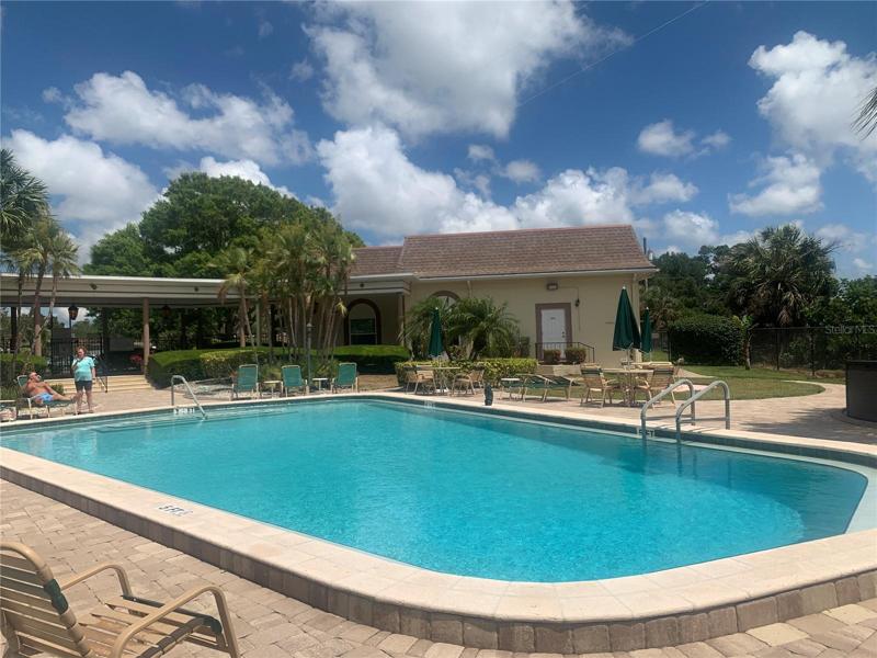 Very LARGE clean beautiful POOL!