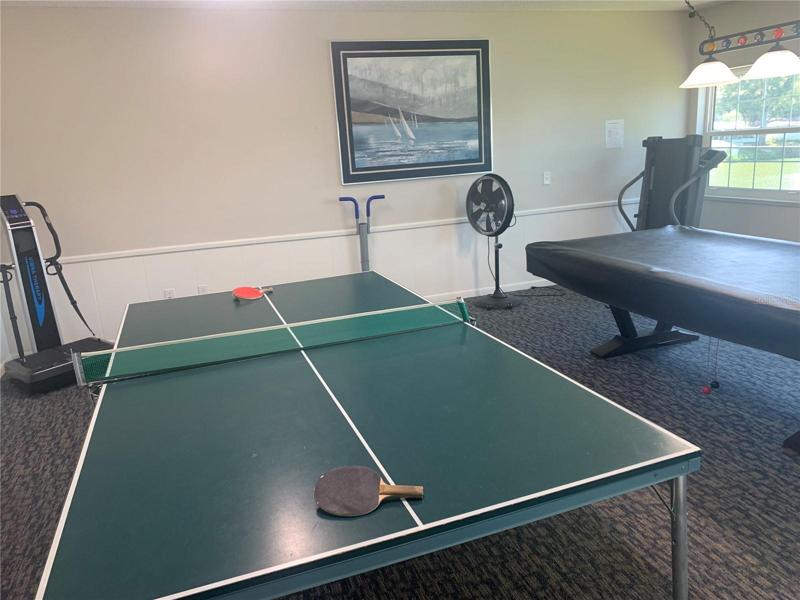 Ping-Pong Table in Games Room!