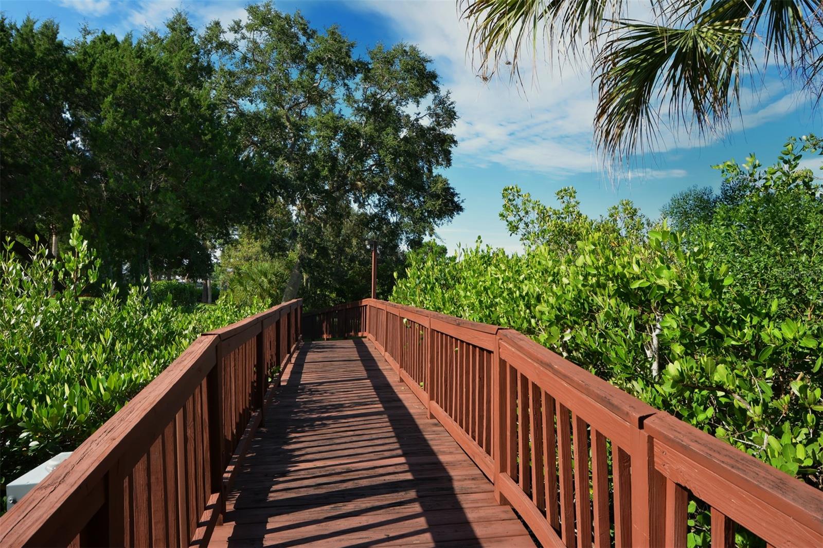 Jessie Harbor park bridge