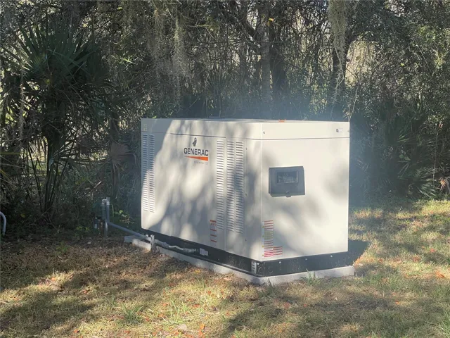 WHOLE HOUSE GENERATOR!!