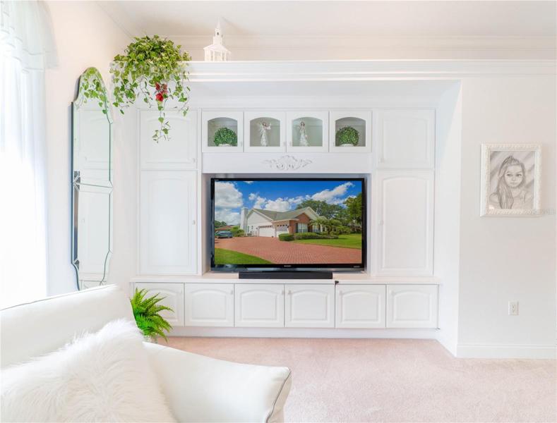 Built in Family Room