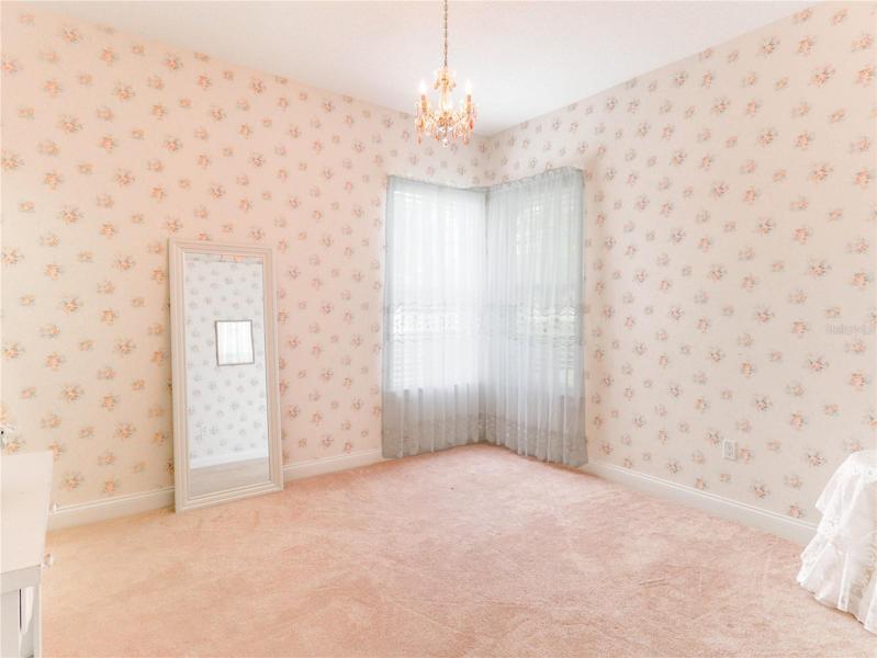 3rd bedroom with walk in closet.