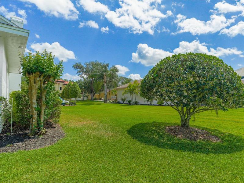 Side yard, extended drive for guest 