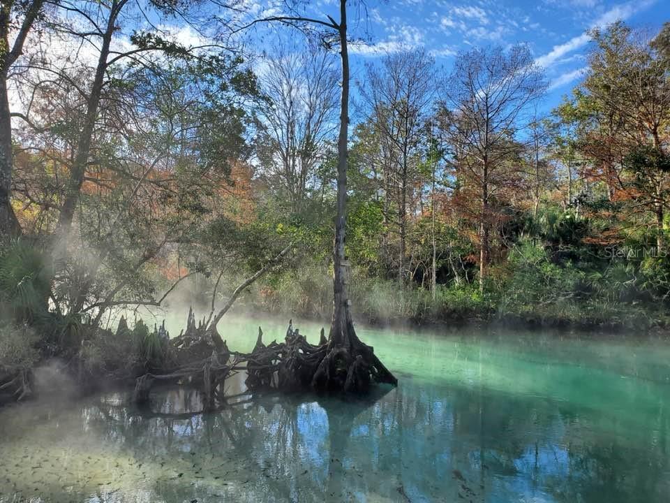 Weeki Wachee