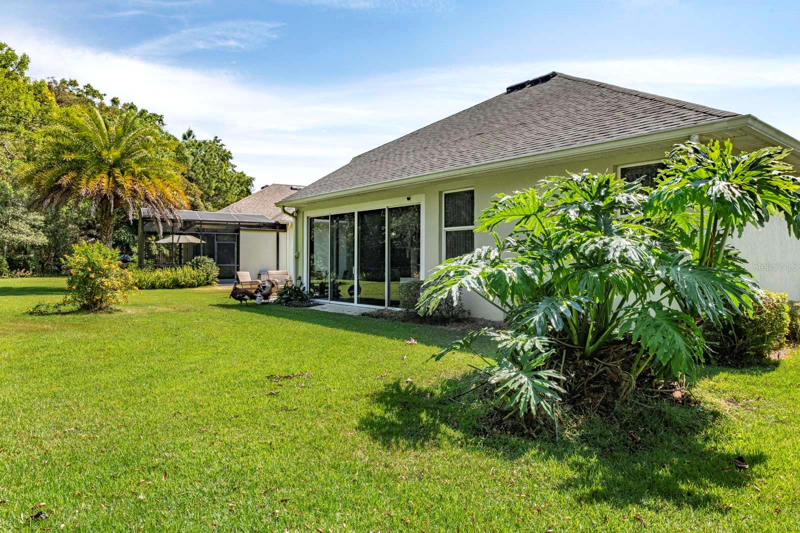 Rear of home