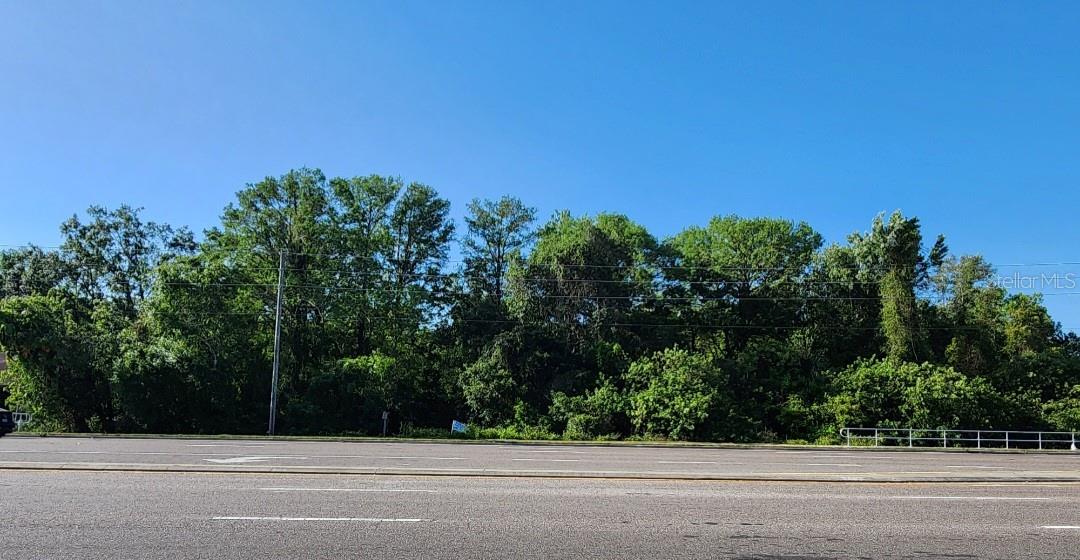 New Port Richey, Florida 34655, 0 , 0 ,0,Land,For Sale,SR 54,0,U8195308